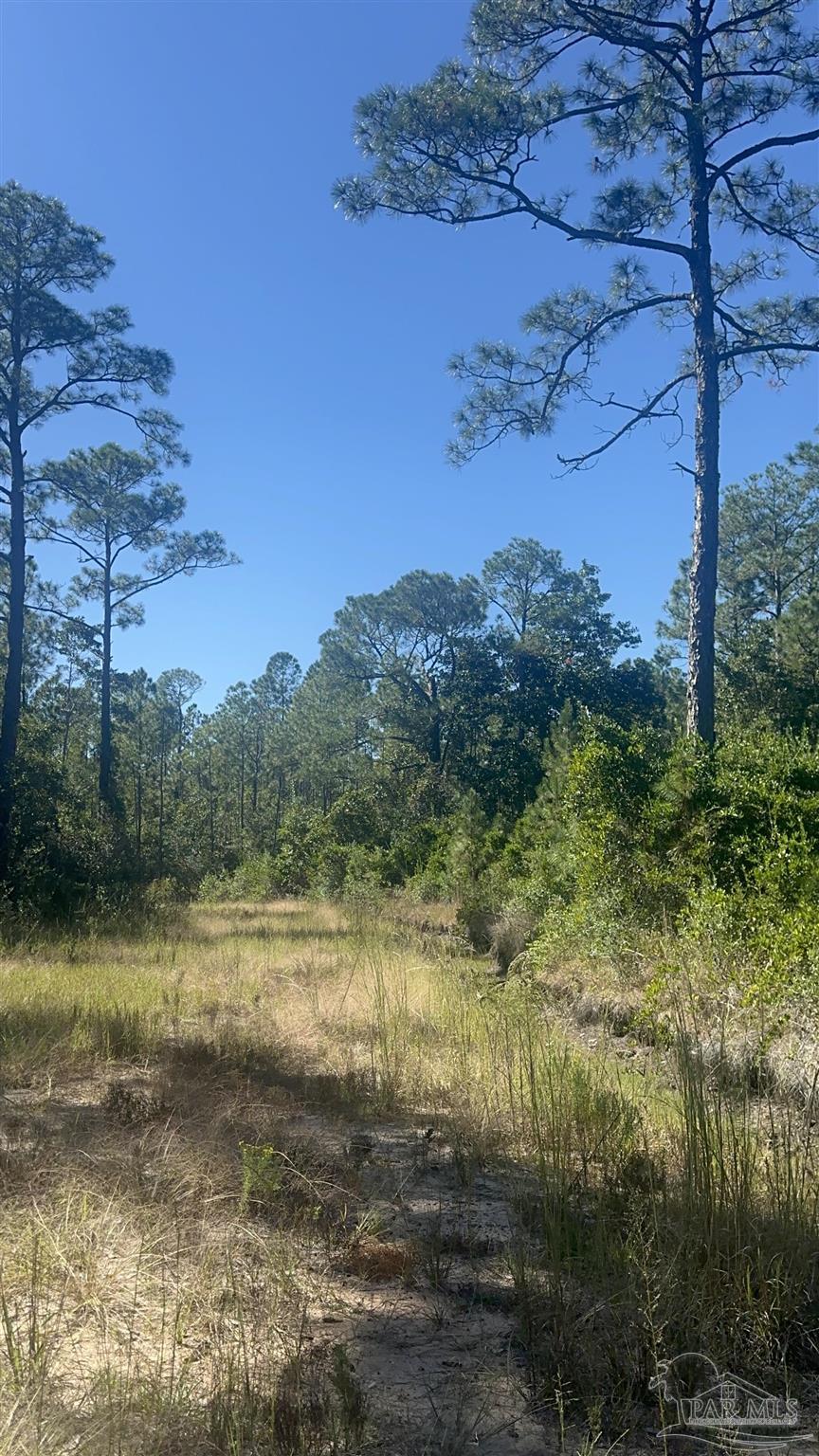 Robinson Point Road Milton, FL 32583 - Photo 8 of 16