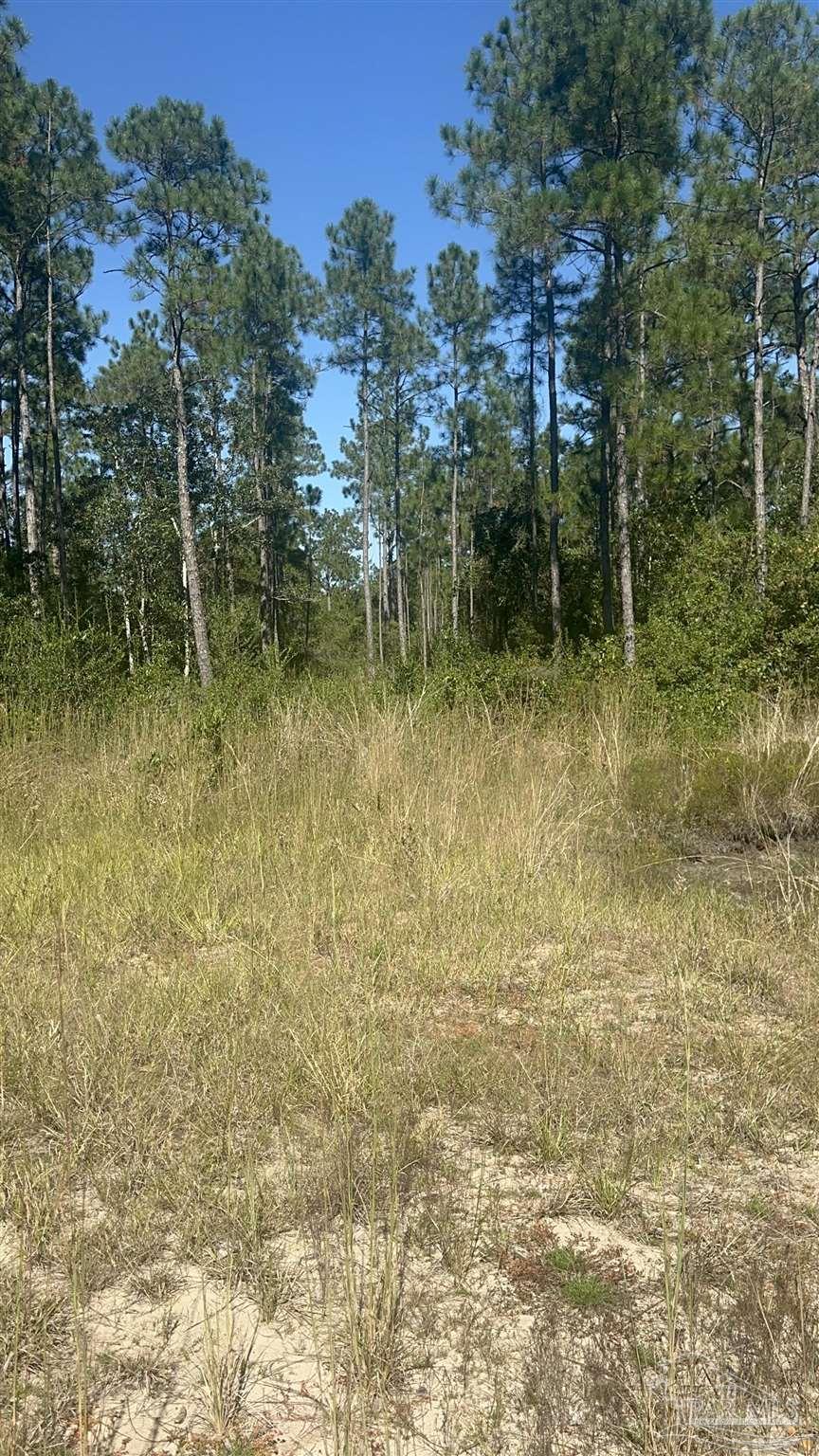 Robinson Point Road Milton, FL 32583 - Photo 9 of 16