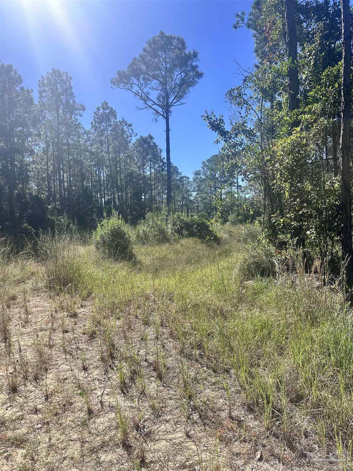 Robinson Point Road Milton, FL 32583 - Photo 10 of 16