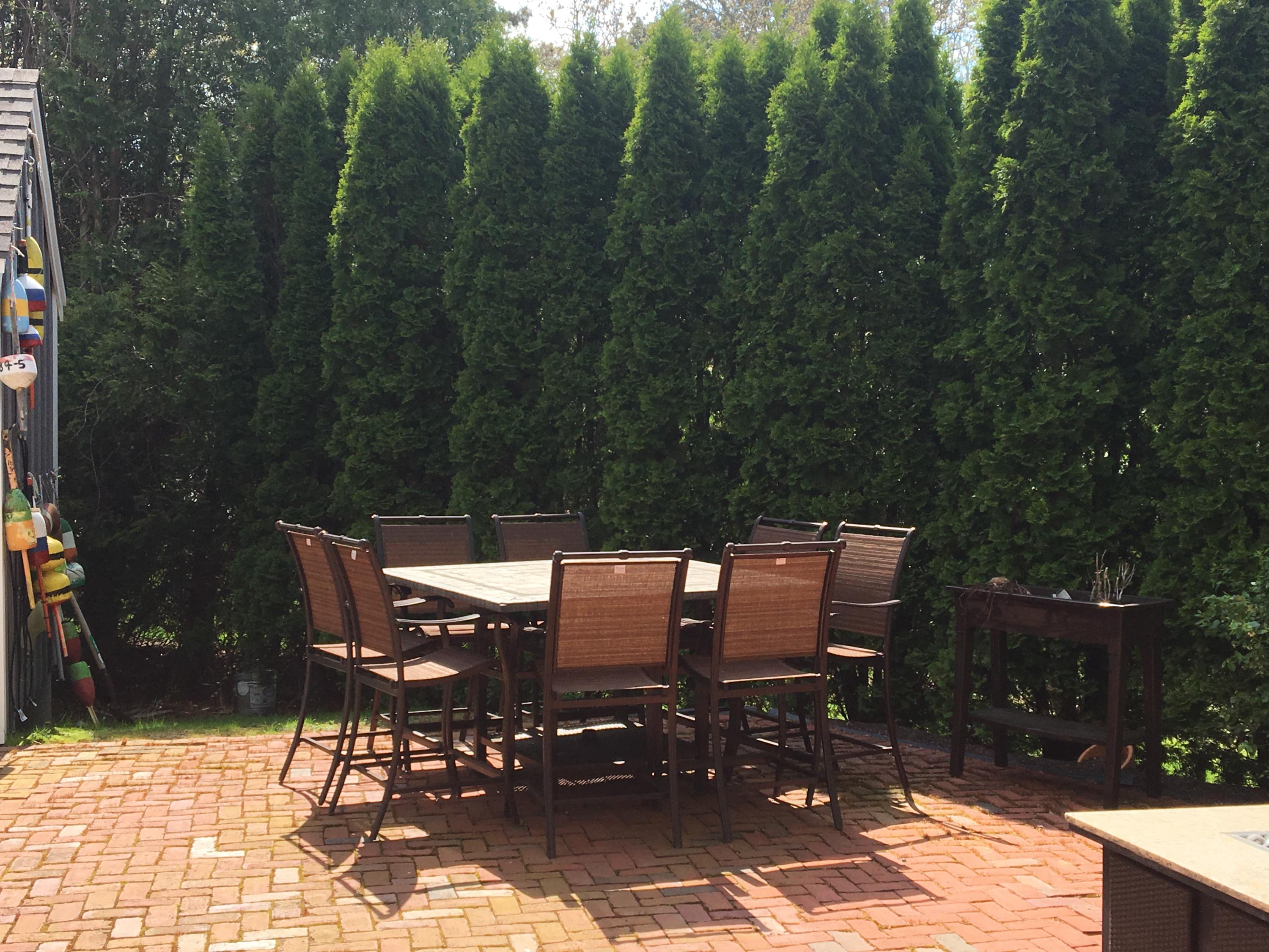 23 Torrey Road East Sandwich, MA 02537 - Photo 20 of 25 an outdoor view with patio