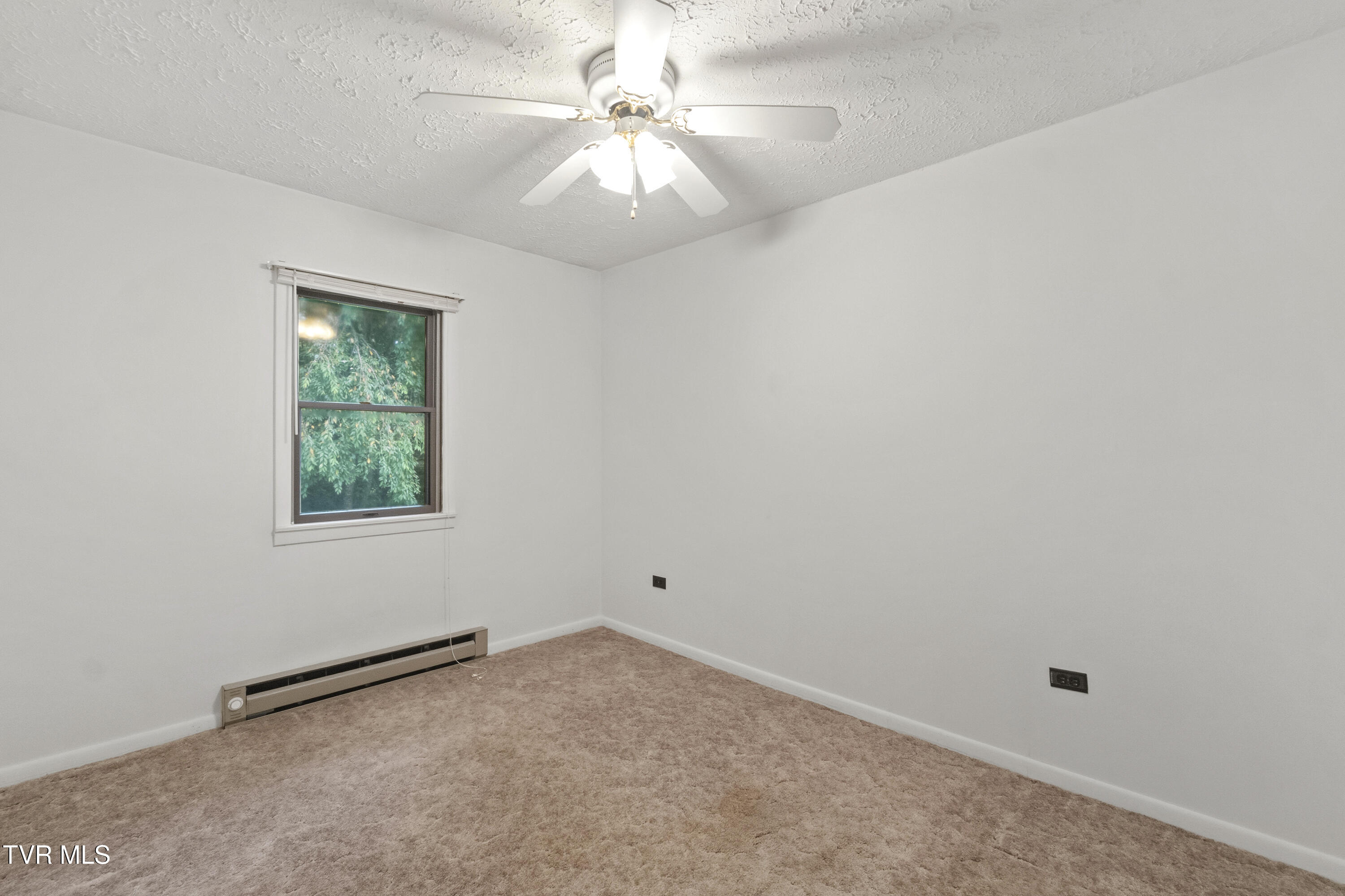 2130 Old Jonesboro Road Chuckey, TN 37641 - Photo 47 of 102 38