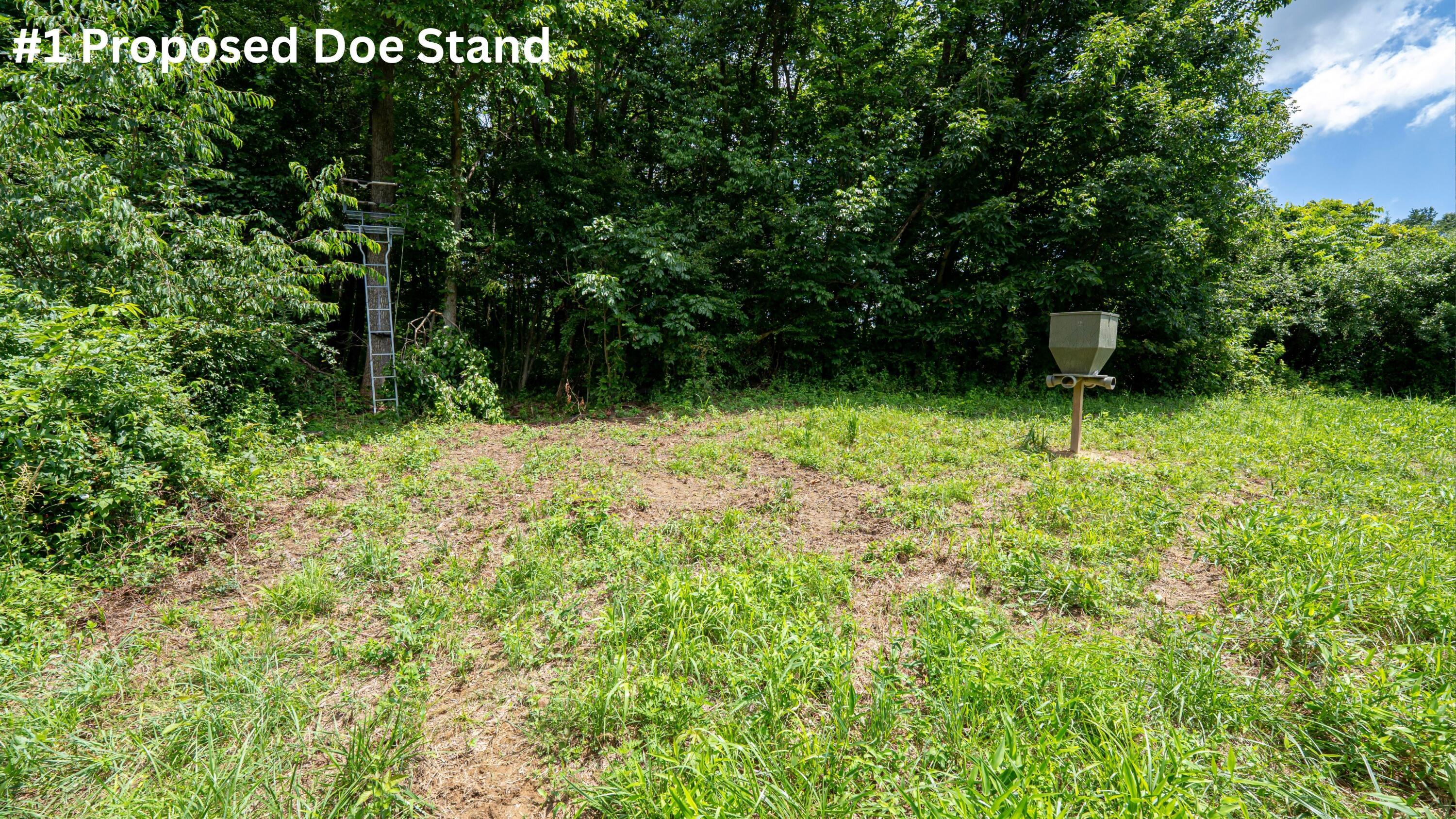 62130 Locker Plant Road McArthur, OH 45651 - Photo 7 of 47 #1 Proposed Doe Stand
