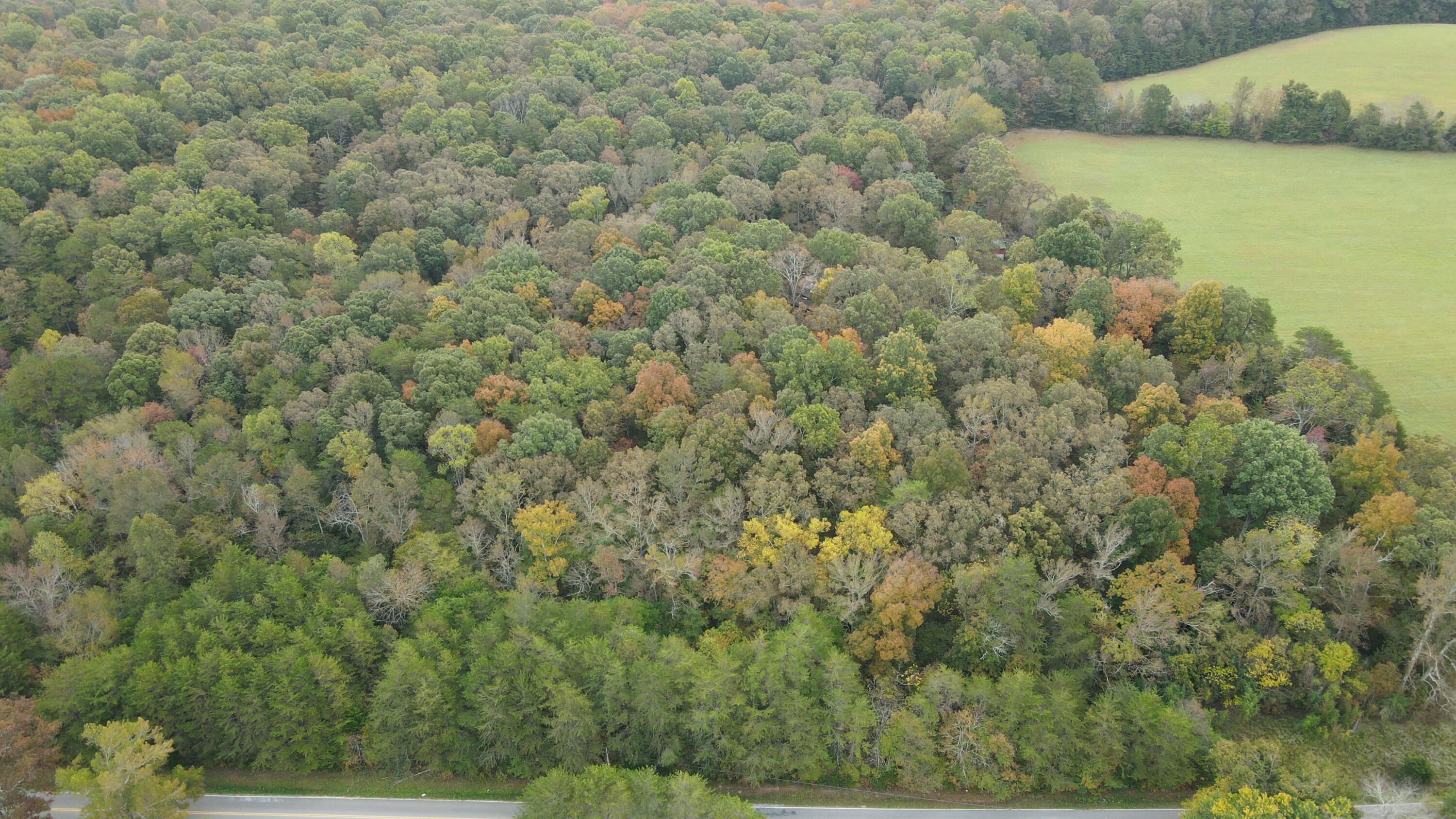 2345 West Cove Road Chickamauga, GA 30707 - Photo 1 of 1 DJI_0361