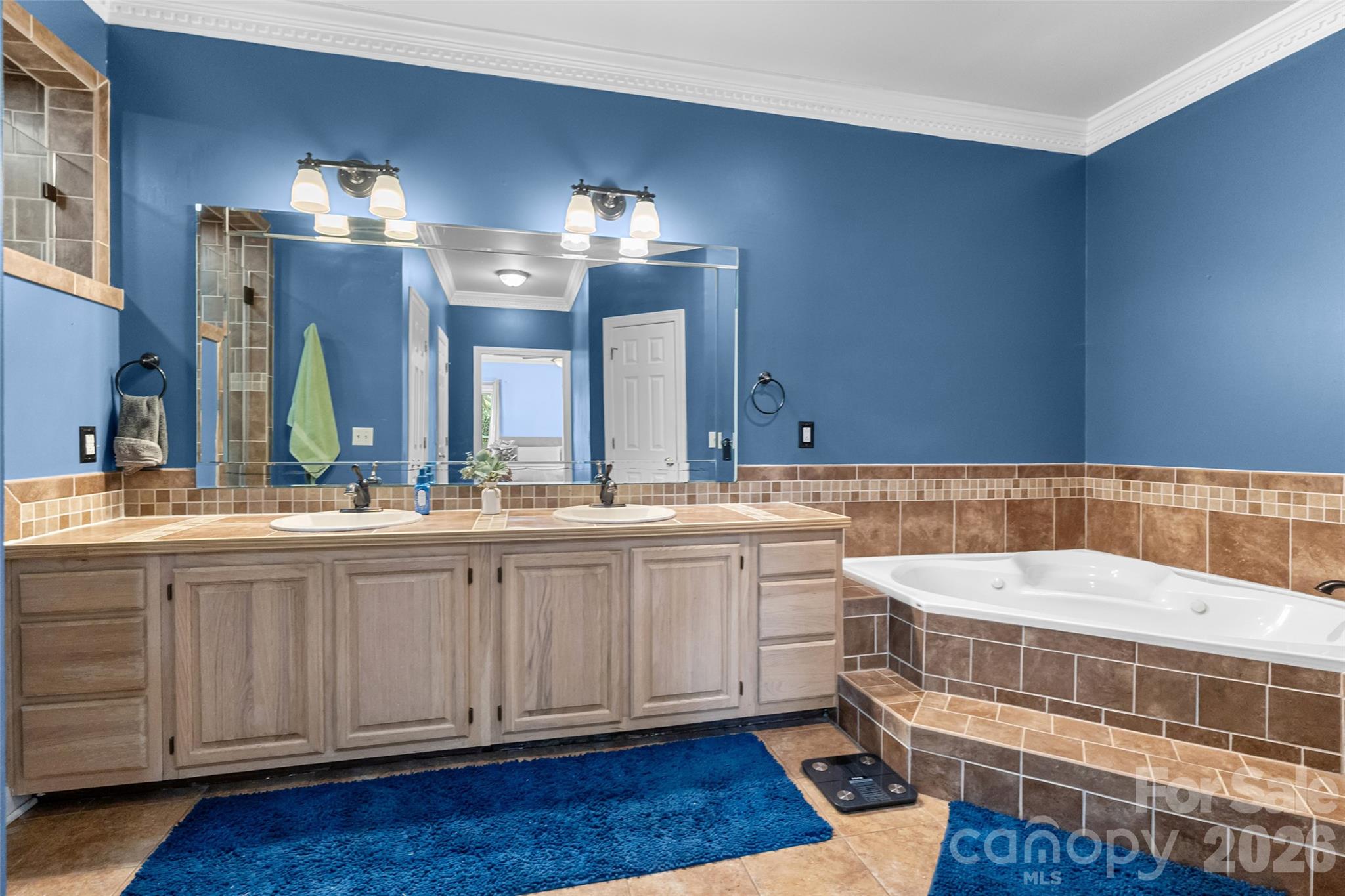 217 Spring Run Road Mooresville, NC 28117 - Photo 23 of 48