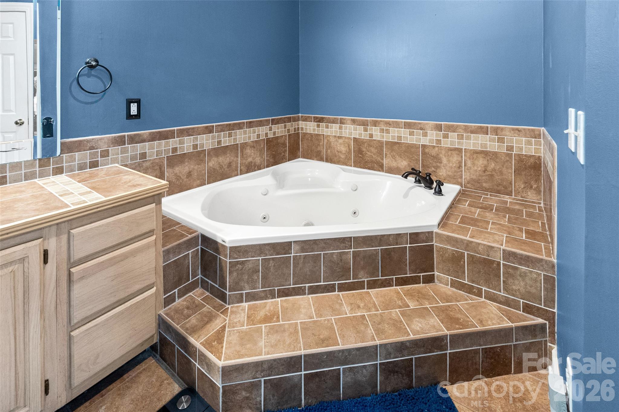 217 Spring Run Road Mooresville, NC 28117 - Photo 25 of 48