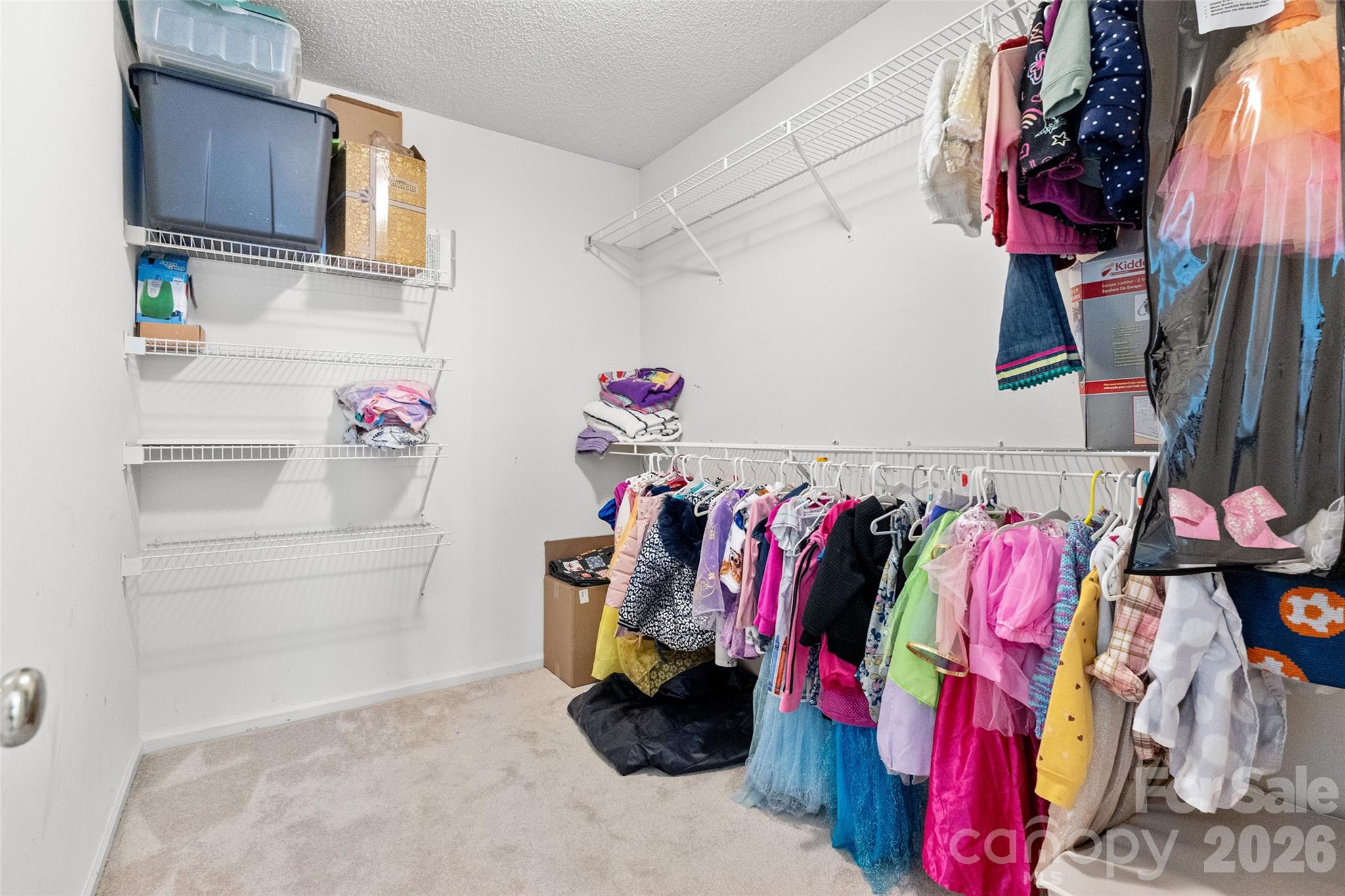 217 Spring Run Road Mooresville, NC 28117 - Photo 34 of 48