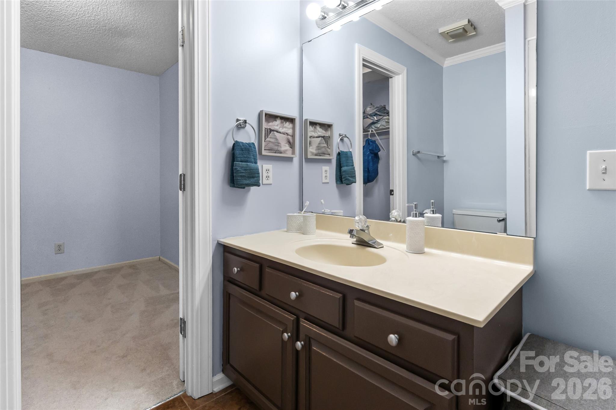 217 Spring Run Road Mooresville, NC 28117 - Photo 37 of 48