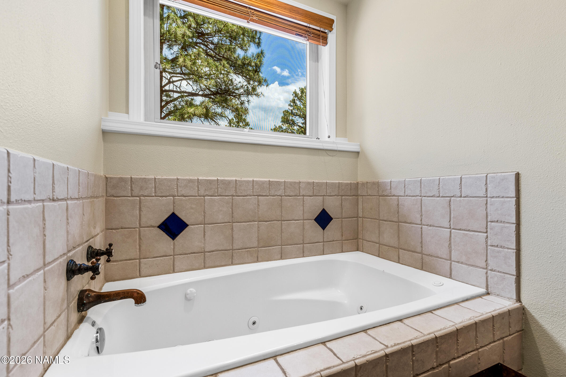 8921 Hulls Road Flagstaff, AZ 86004 - Photo 29 of 80 Soaking Tub