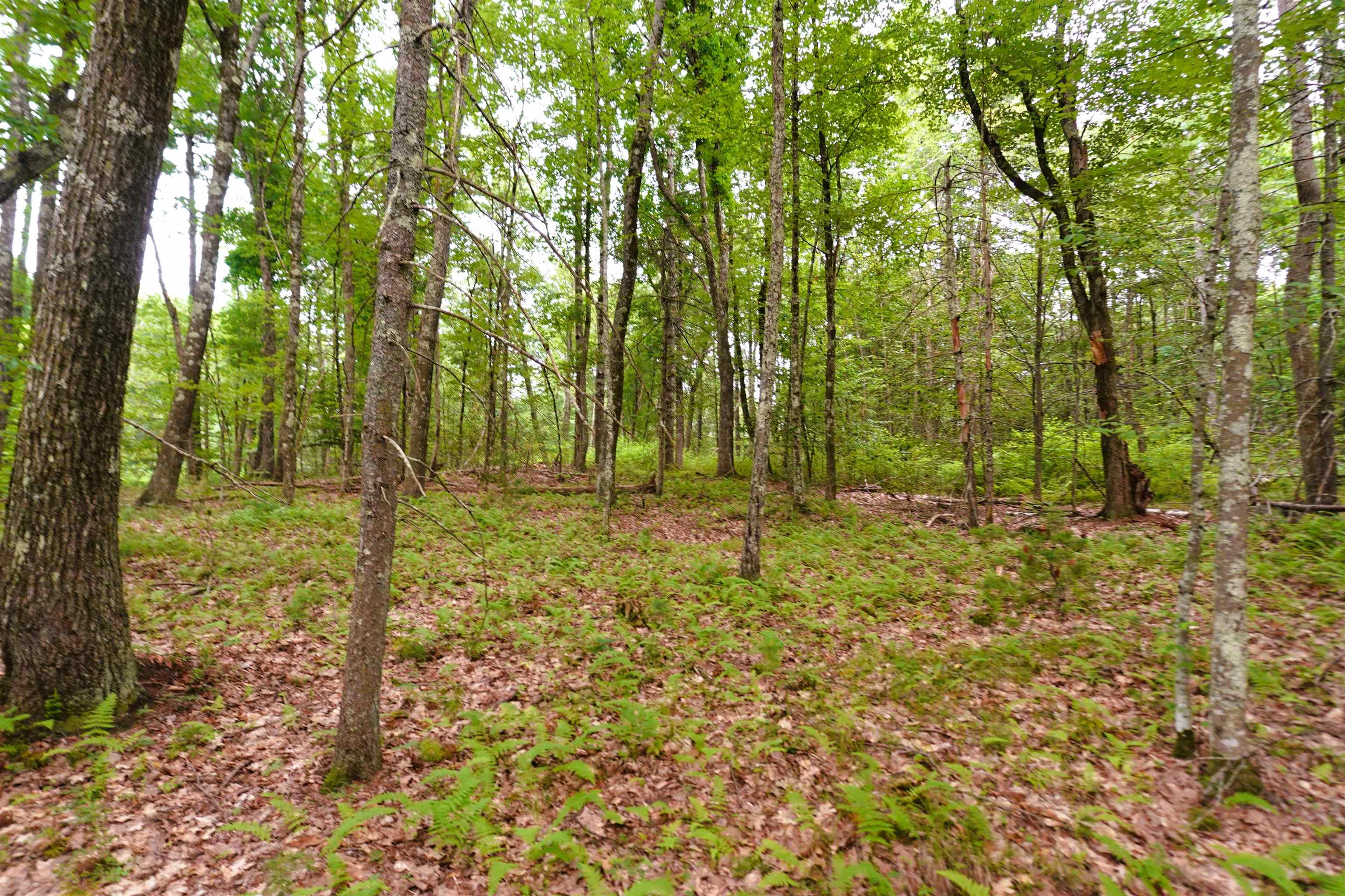 0 Burt Hill Road Winchester, NH 03470 - Photo 20 of 32