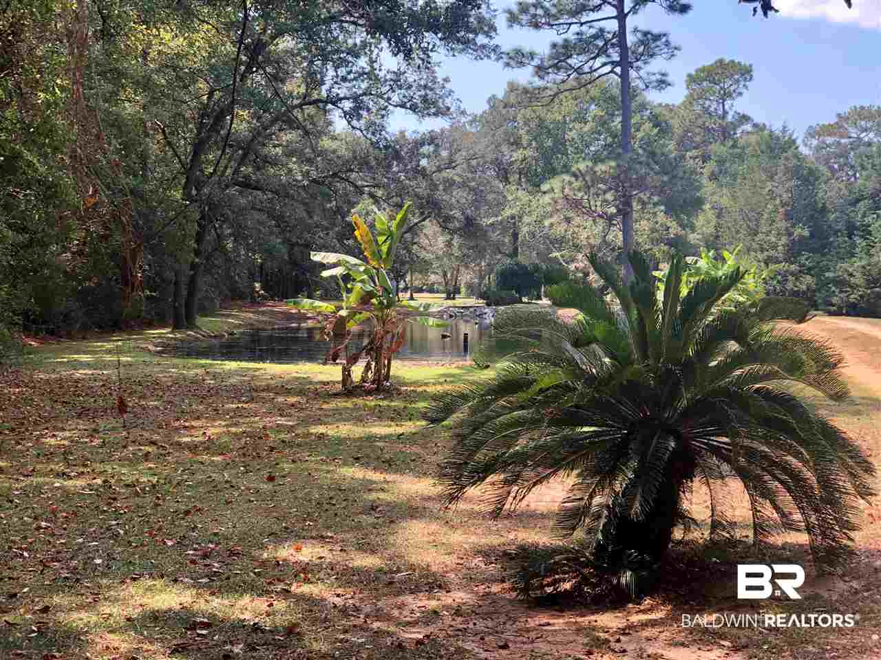 9175 County Road 99 Lillian, AL 36549 - Photo 50 of 50