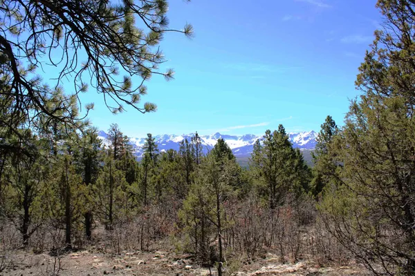 $926,000 | Tbd Old Relay Road, Ridgway, CO 81432