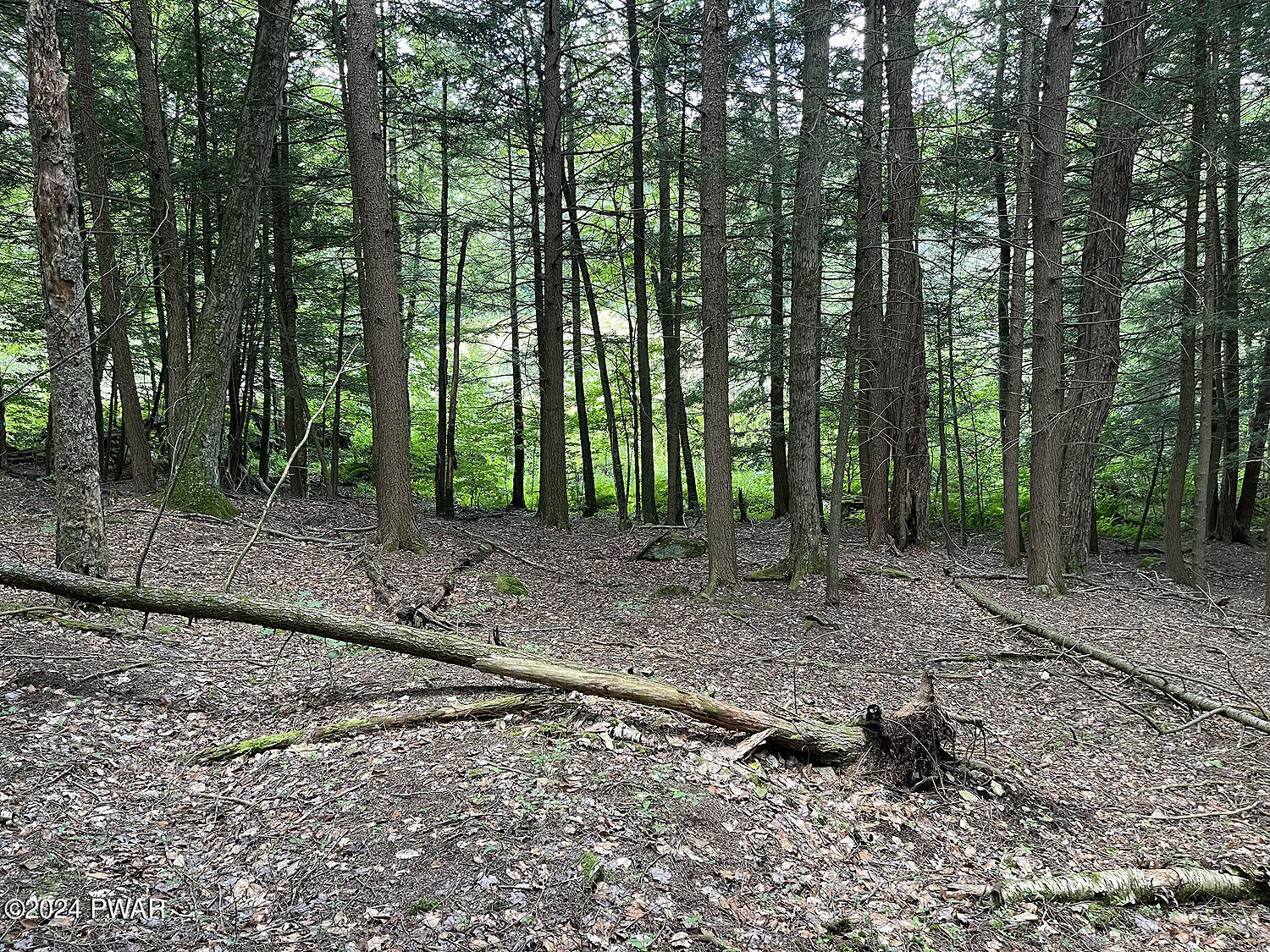 0 Rotten Road Equinunk, PA 18417 - Photo 16 of 20
