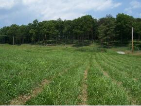 365 Bill West Road, Unit 2 Limestone, TN 37681 - Photo 3 of 3 Photo 3