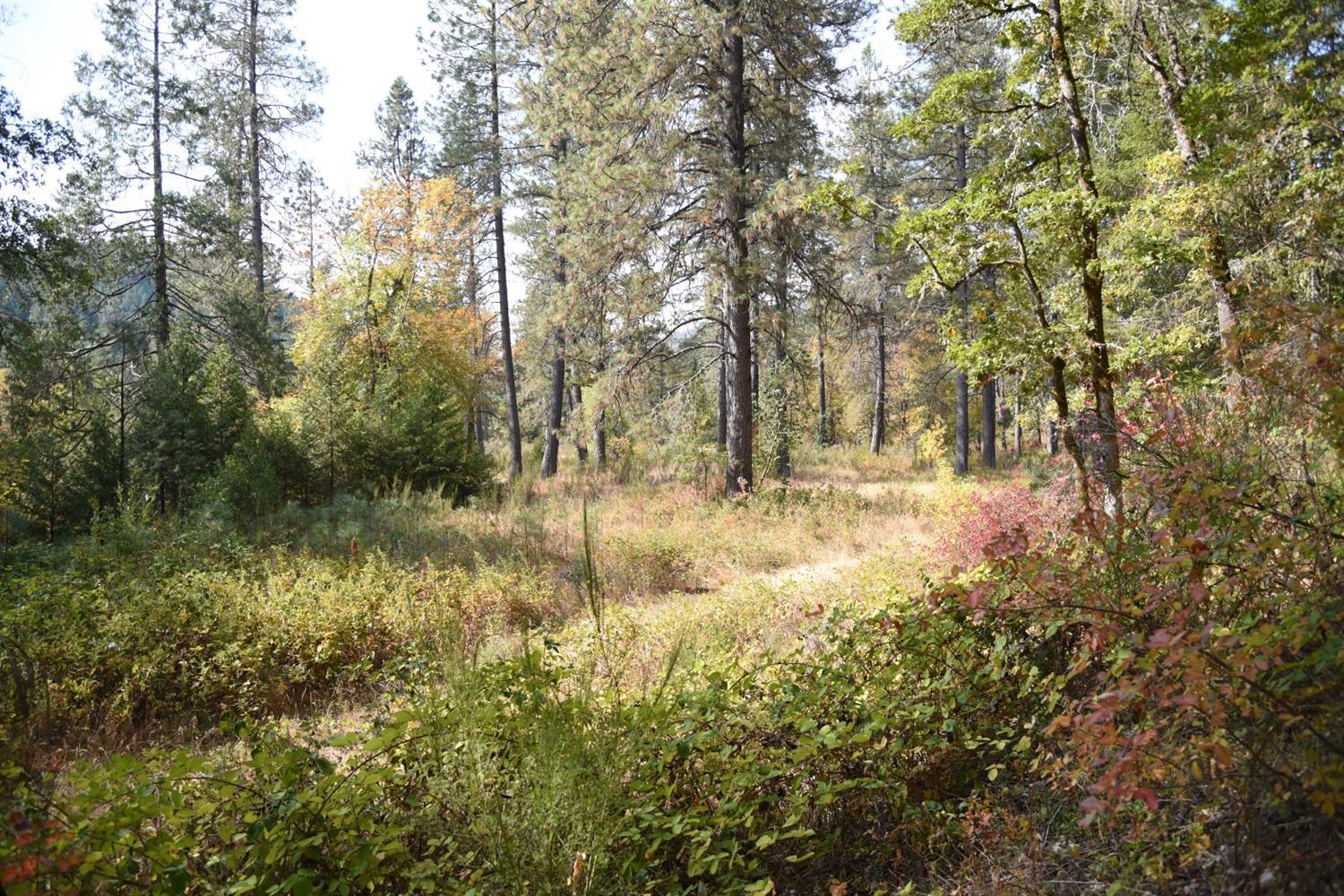 0 Lone Mountain Road, Unit TL601 O'Brien, OR 97534 - Photo 1 of 5 Primary Photo