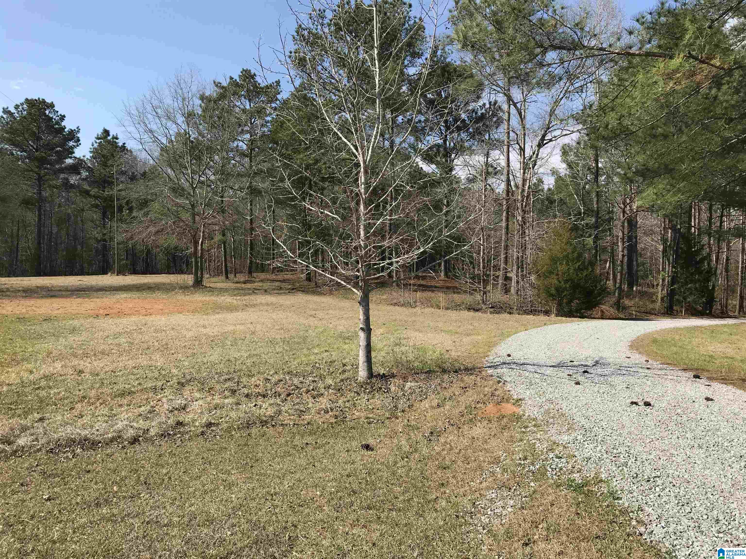 3 Chancellors Ferry Road, Unit 1 Harpersville, AL 35078 - Photo 3 of 14
