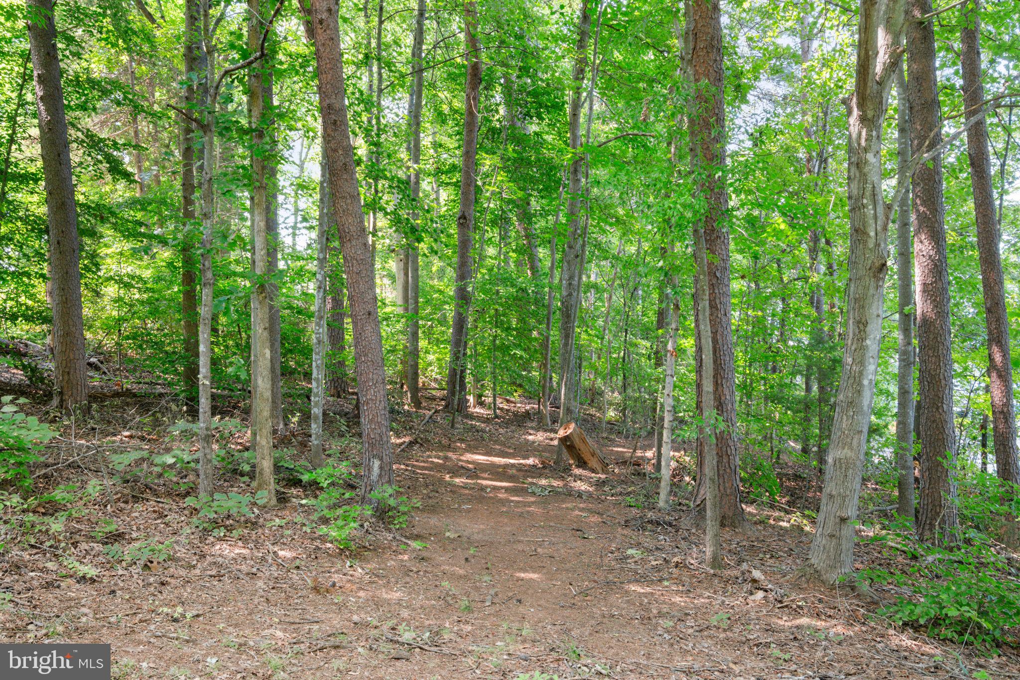 2802 Wallers Quarters Road Bumpass, VA 23024 - Photo 33 of 49 Gallery Image 33