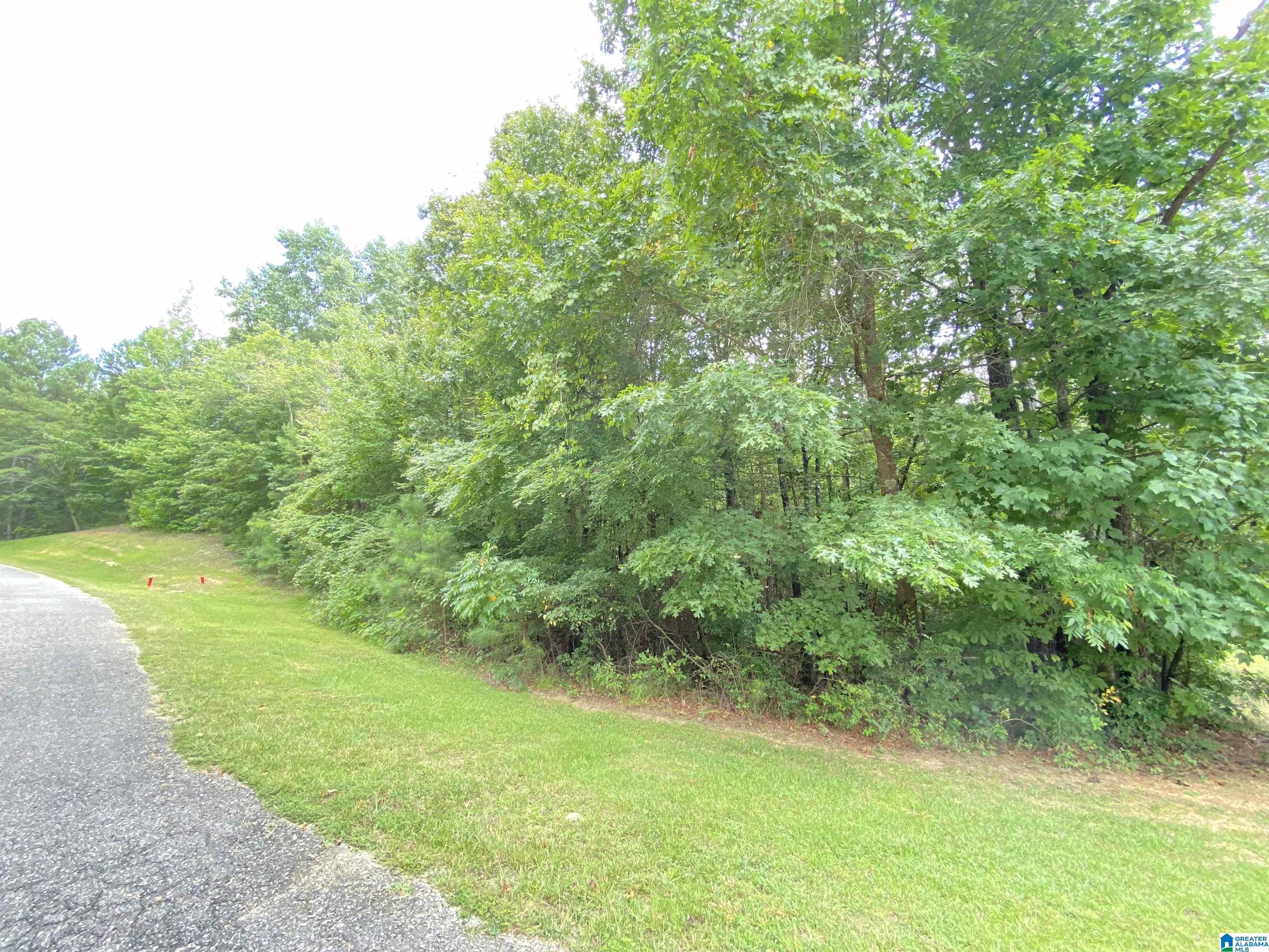 969 Blue Ridge Way, Unit 45 Odenville, AL 35120 - Photo 8 of 12