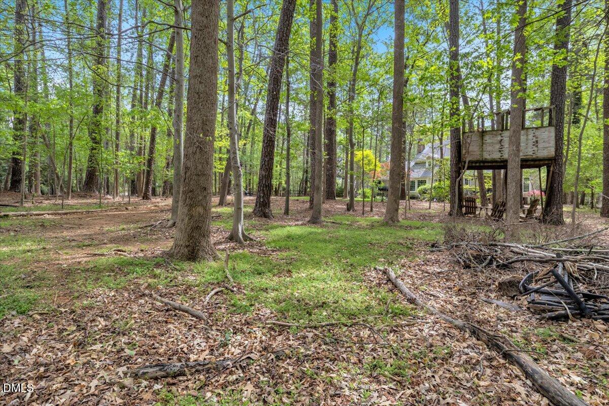 11820 Edgewater Court Raleigh, NC 27614 - Photo 84 of 99