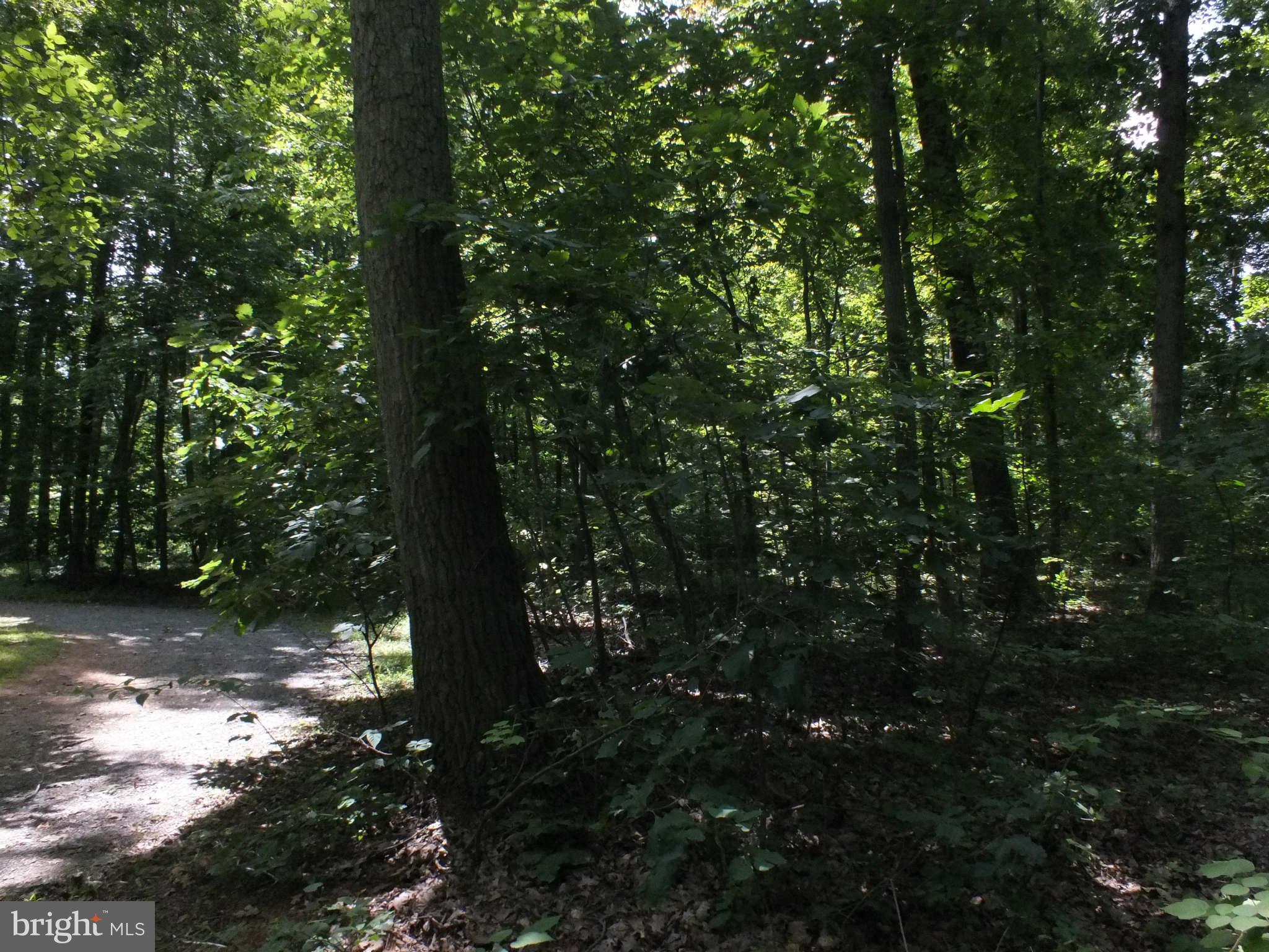 Red Hill Road Leesburg, VA 20175 - Photo 4 of 9 View