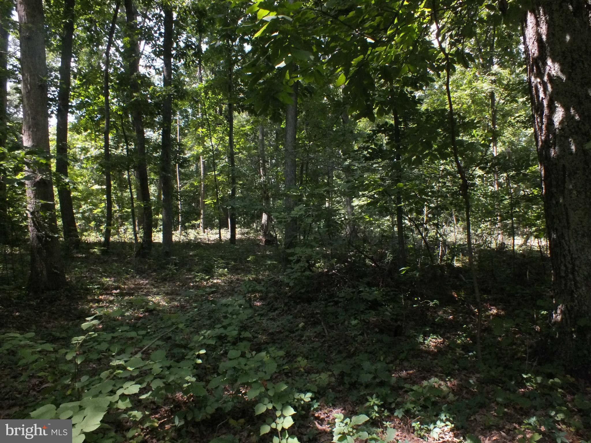 Red Hill Road Leesburg, VA 20175 - Photo 5 of 9 View