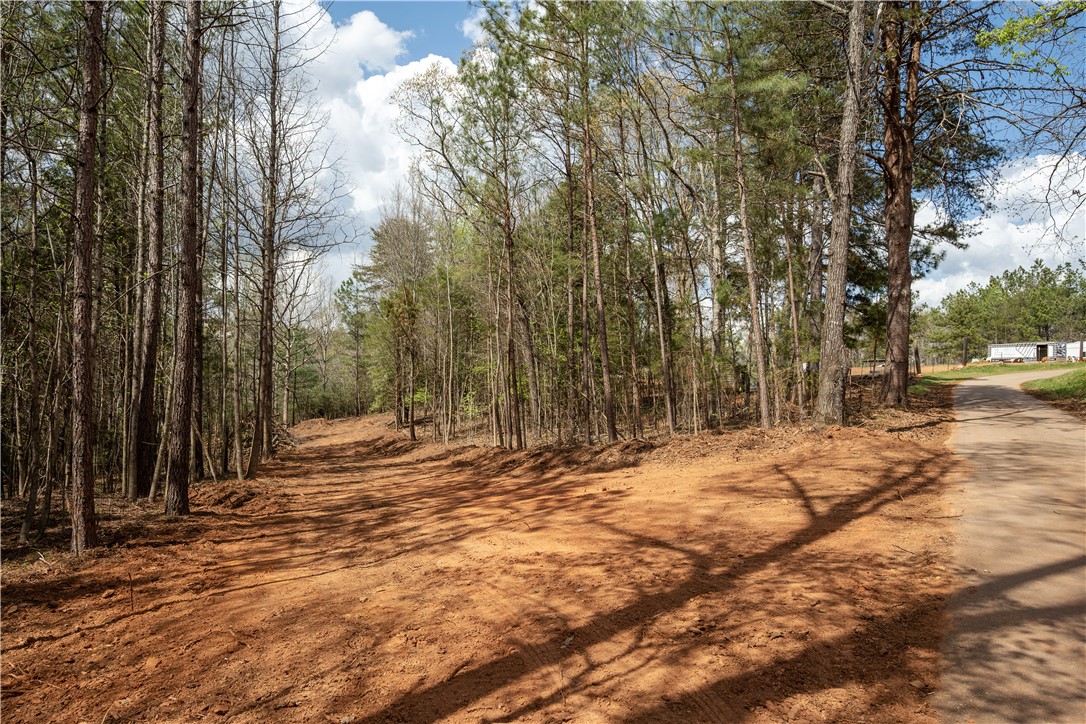 Tbd Gray Stroke Lane Pickens, SC 29671 - Photo 4 of 9 A spacious lot offers endless possibilities for your dream home, nestled amidst a natural treeline.