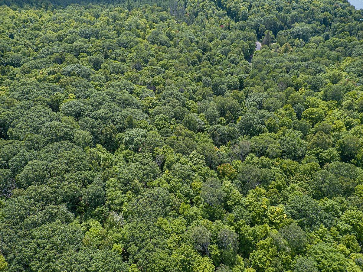 Lot 6 East Anvil Lake Road Eagle River, WI 54521 - Photo 20 of 22 Gallery Image 20