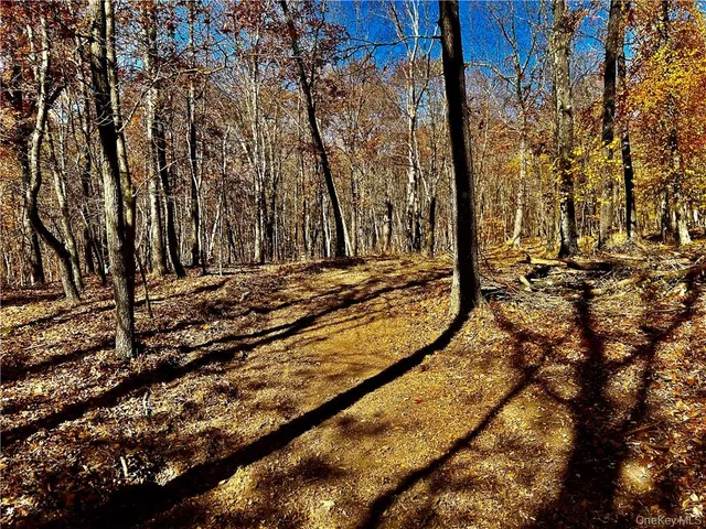 a view of a backyard of the house