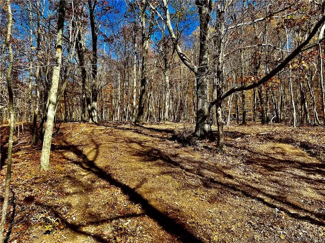 a view of park space