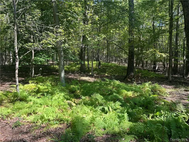 a view of backyard with green space