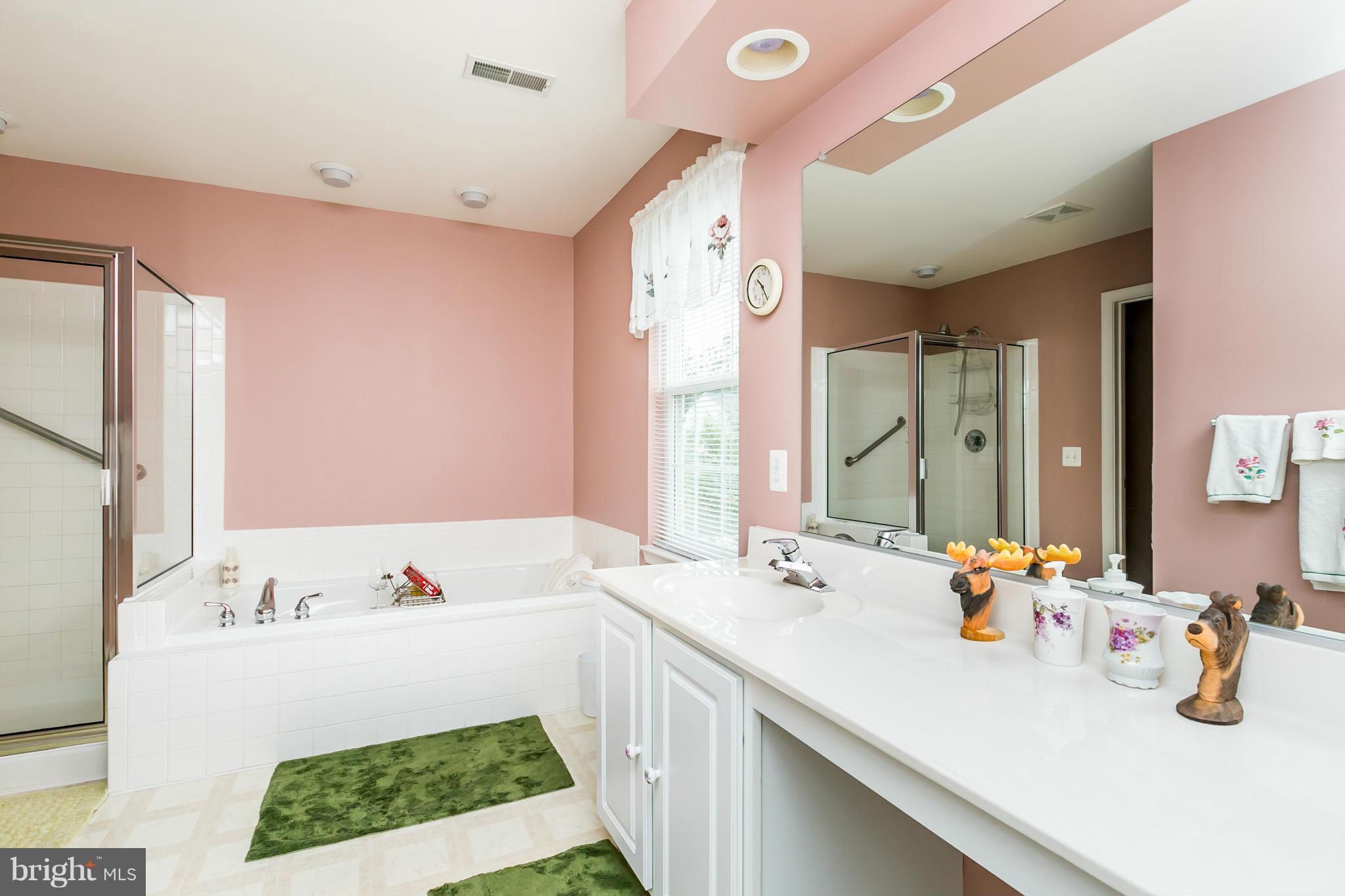 8117 Rose Haven Road Baltimore, MD 21237 - Photo 16 of 30 Bath (Master)