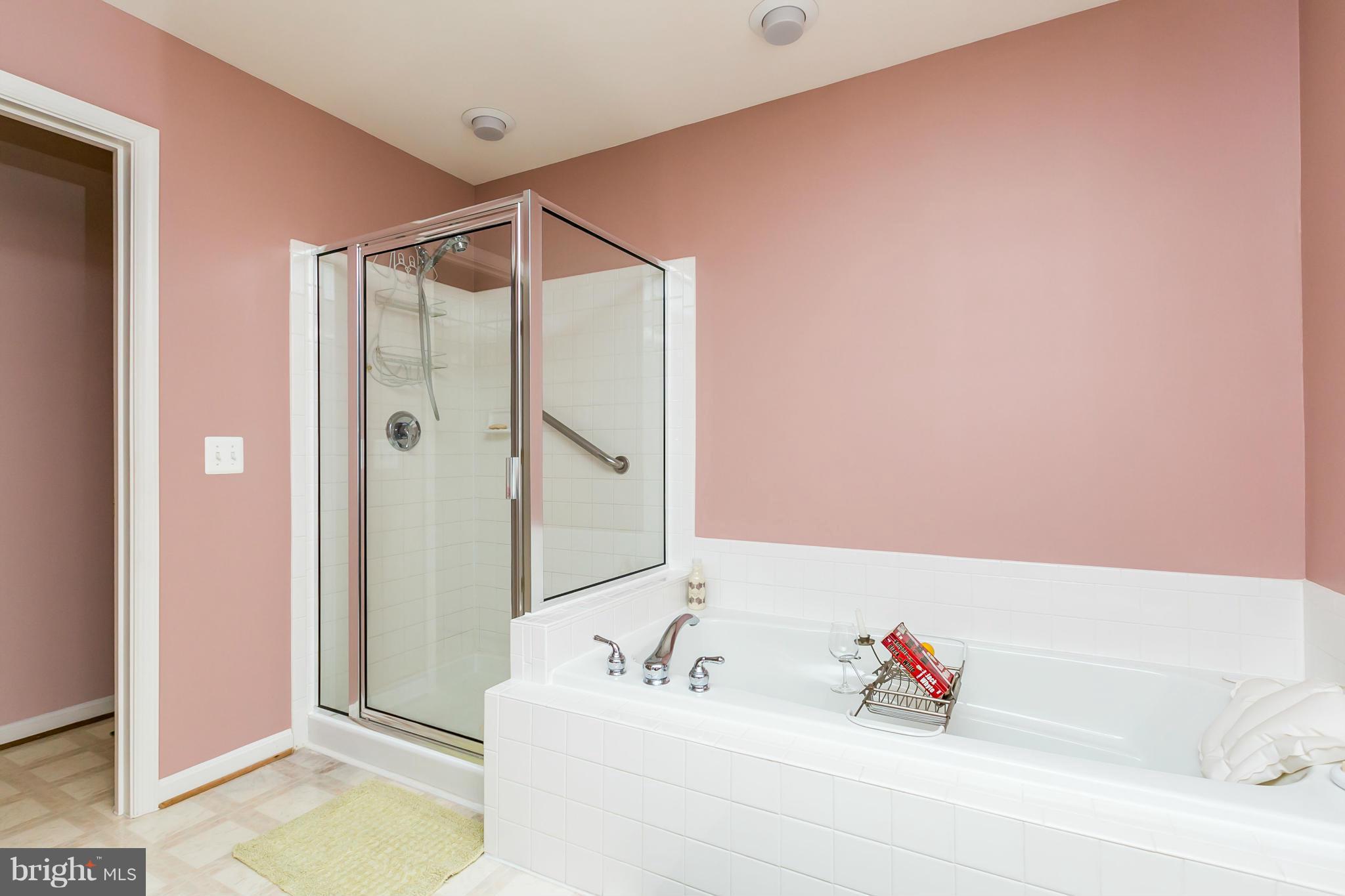 8117 Rose Haven Road Baltimore, MD 21237 - Photo 17 of 30 Bath (Master)
