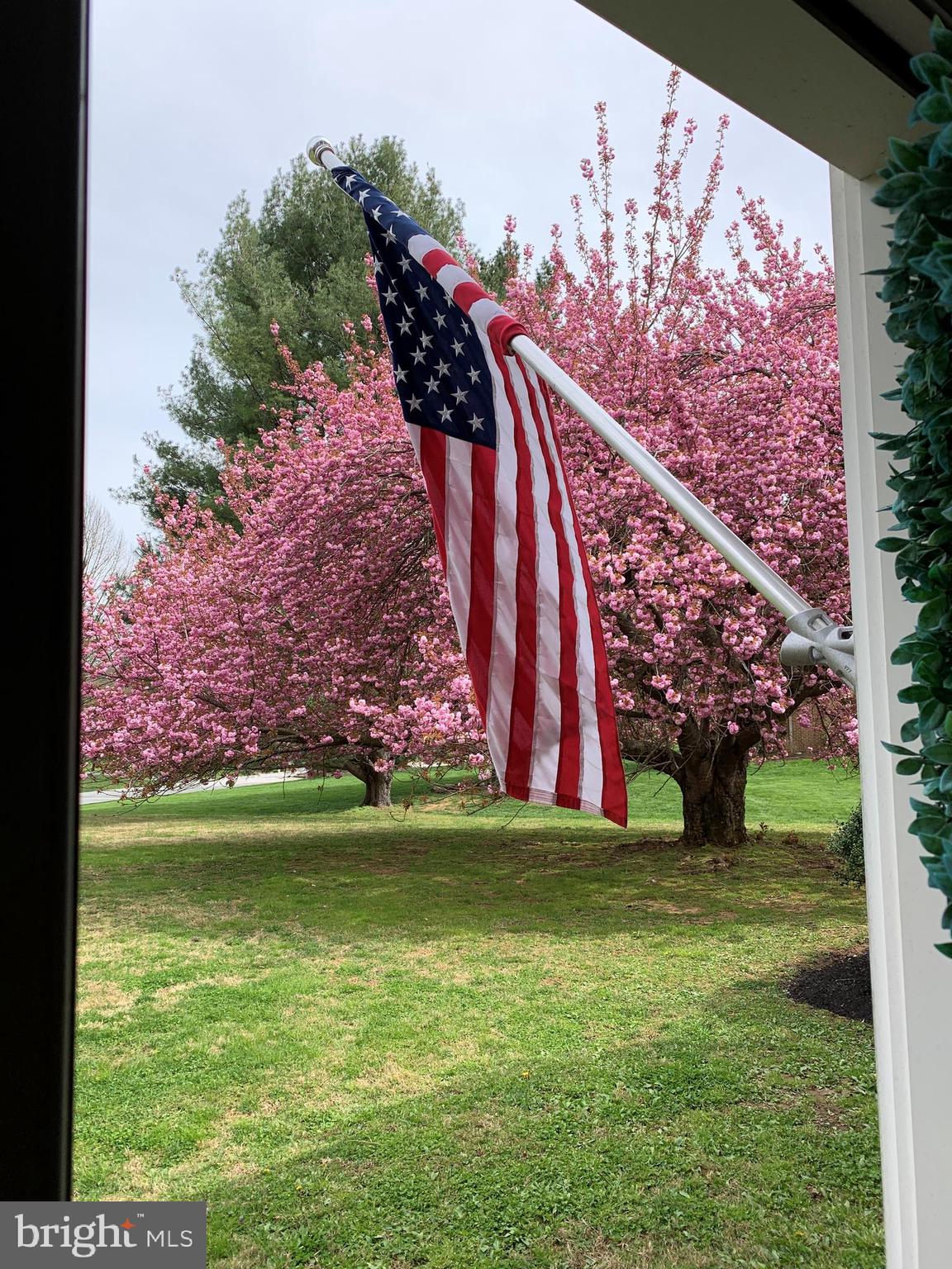 1044 Jonathan Drive Malvern, PA 19355 - Photo 39 of 42 Blooming tree in front yard
