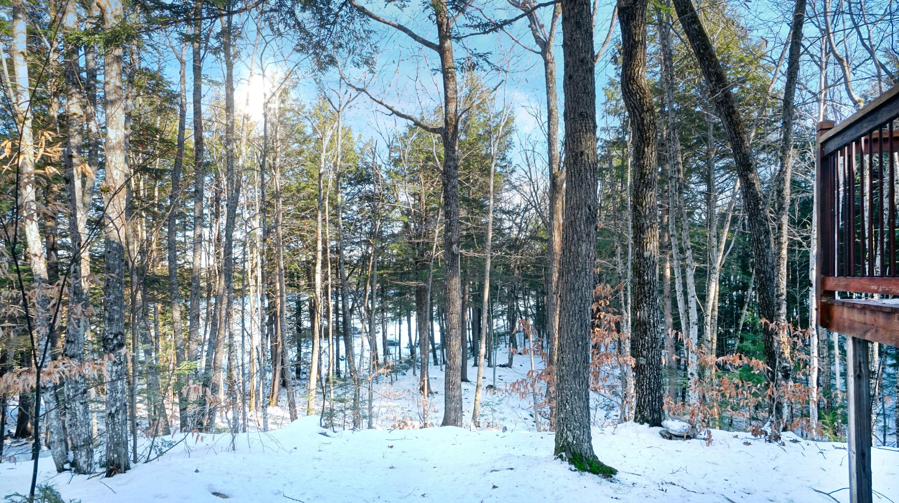 16 Knowles Point Road Bridgton, ME 04009 - Photo 10 of 158 DSC04766