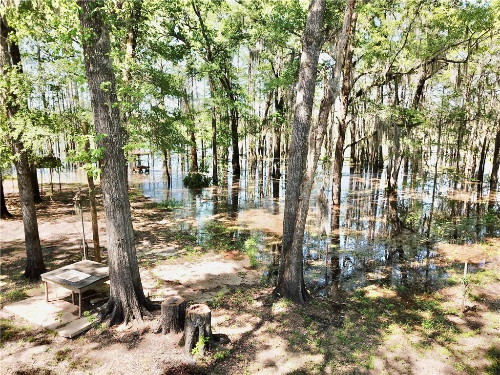 155 Wagon Wheel Road Campti, LA 71411 - Photo 12 of 15 Gallery Image 12