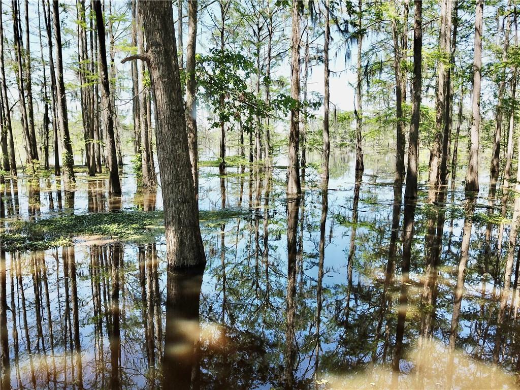 155 Wagon Wheel Road Campti, LA 71411 - Photo 14 of 15 Gallery Image 14