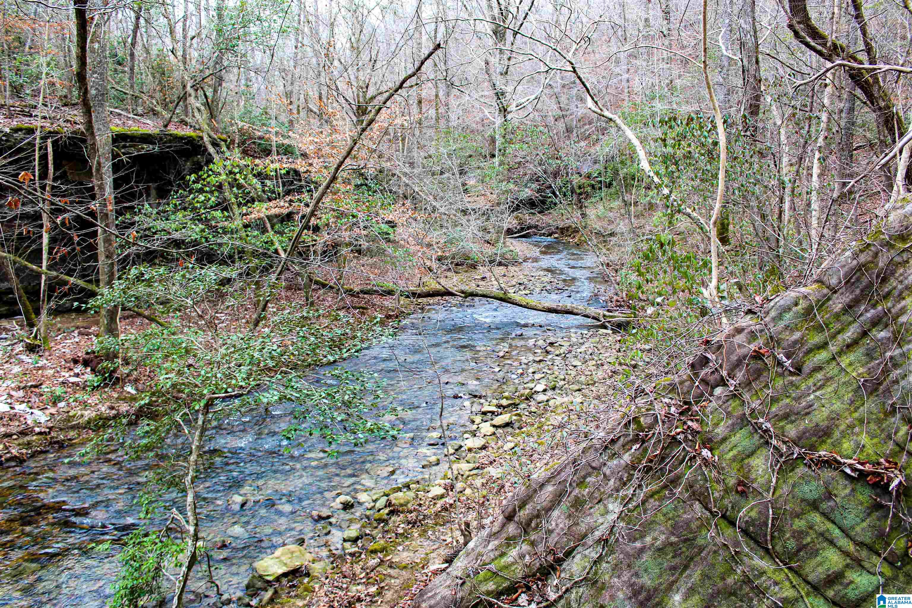 3379 County Road 80, Unit 1 Addison, AL 35540 - Photo 27 of 53