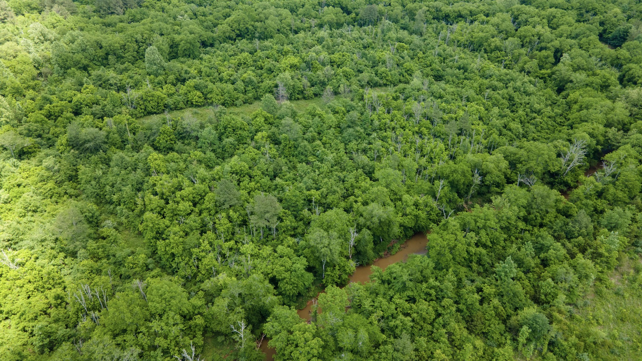 2 State Highway Calhoun, TN 37309 - Photo 7 of 10