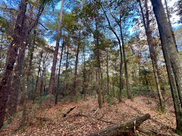 Undisclosed Address Headland, AL 36345 - Photo 27 of 36