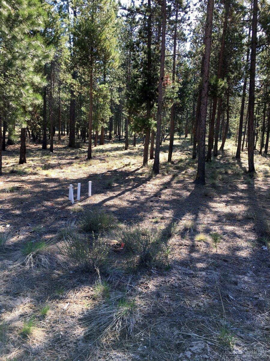 133 Sunstone Loop Bend, OR 97707 - Photo 8 of 20 Looking from the street to the back of t