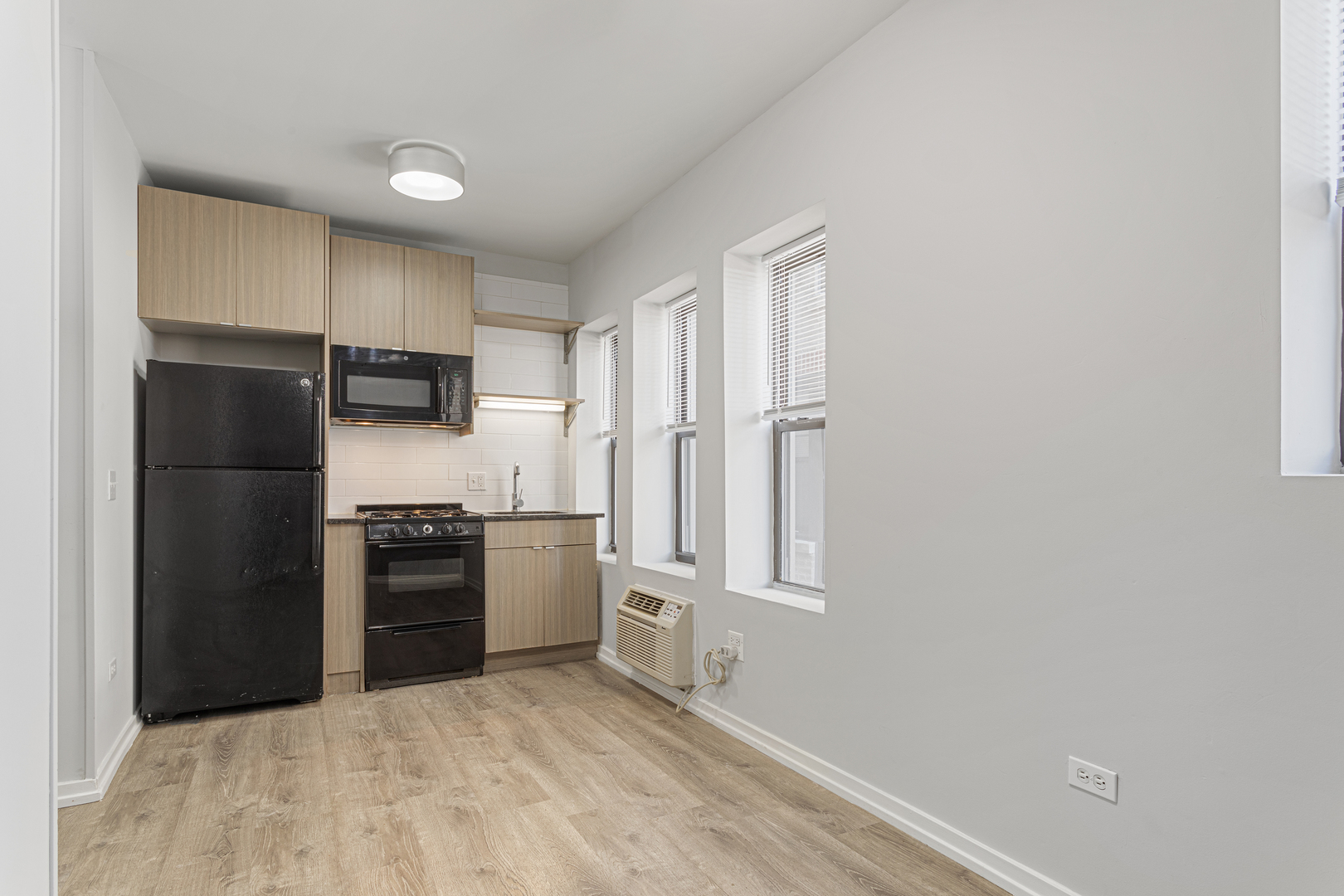 4875 North Magnolia Avenue, Unit 218 Chicago, IL 60640 - Photo 2 of 9