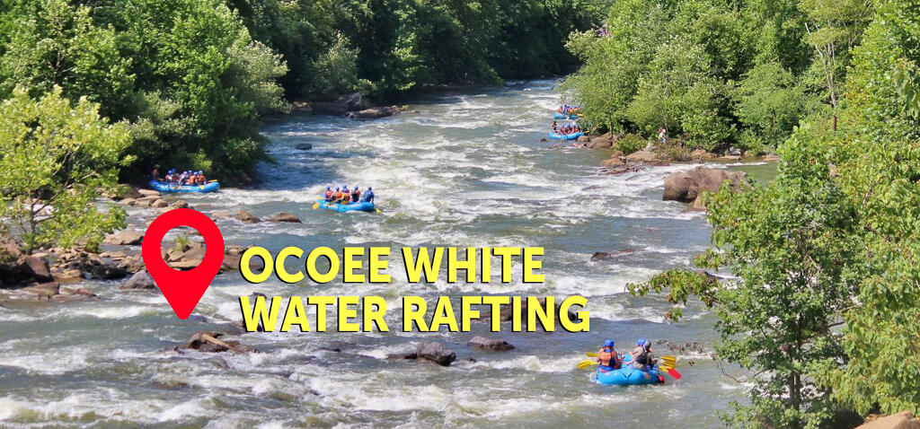 497 Horns Creek Road Old Fort, TN 37362 - Photo 34 of 35 497 Horns Creek-34