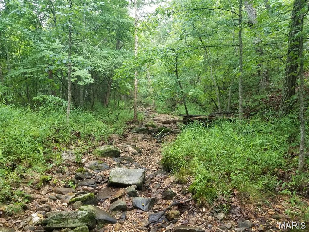 Lot 14 Hickory Ridge Steelville, MO 65565 - Photo 7 of 10