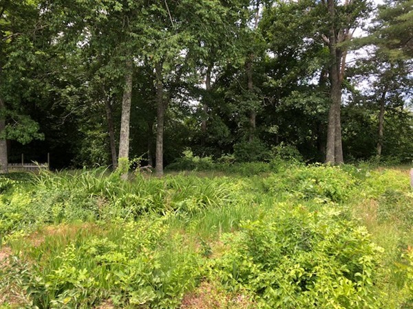 547 North Avenue Rochester, MA 02770 - Photo 5 of 26 a view of outdoor space and garden