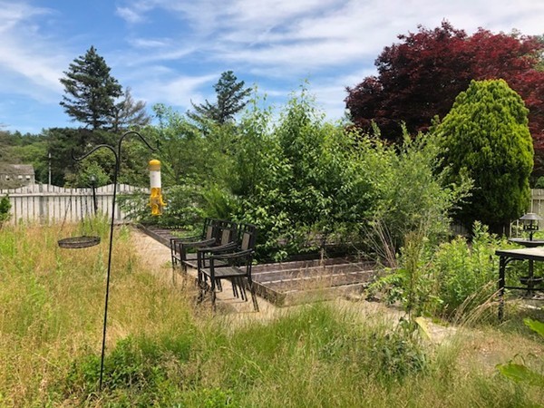 547 North Avenue Rochester, MA 02770 - Photo 7 of 26 a view of swimming pool from a yard