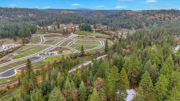 a view of a yard with trees