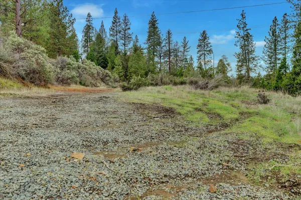 a view of dirt field with trees