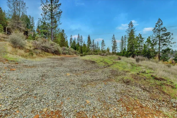 a view of a field with trees in the background