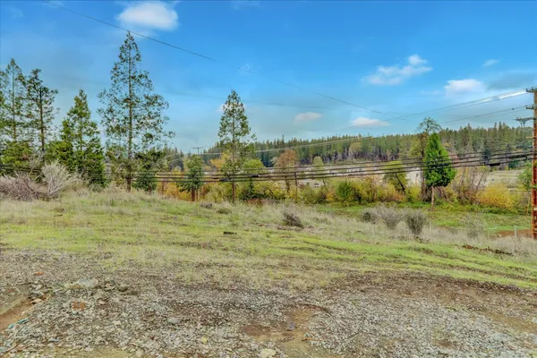 a view of a forest filled with trees