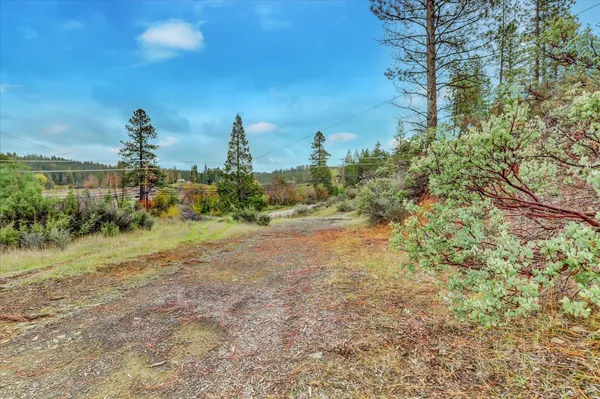 a view of a dry yard with trees in the background
