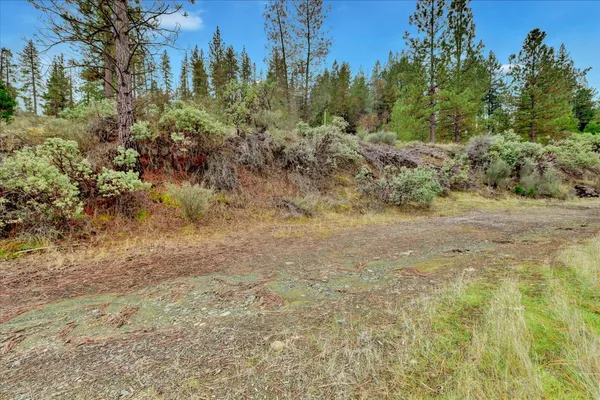 a view of a yard with trees in the background